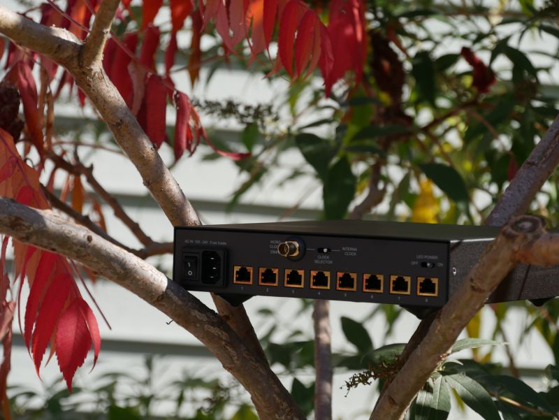 Nuprime SW9x Switch im Essigbaum gewachsen